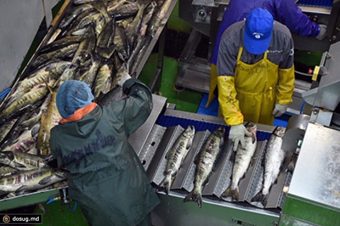 Росрыболовство пожаловалось в ФАС на РЖД