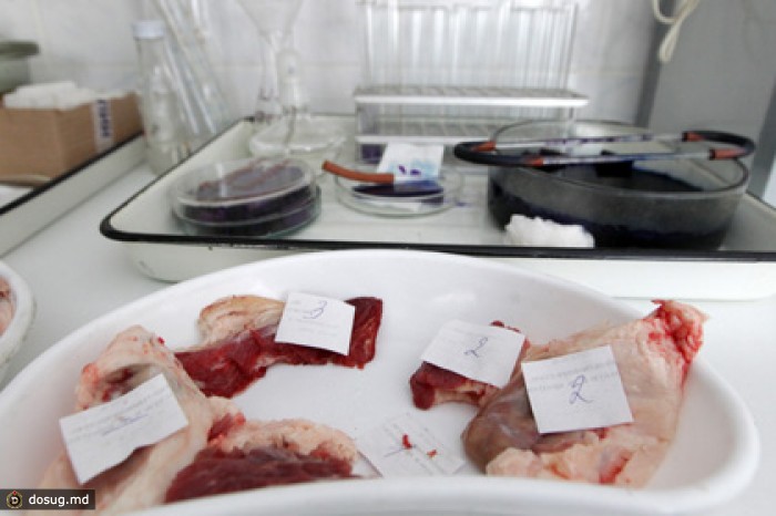 Россельхознадзор остановил на границе две тонны украинского сала и мяса