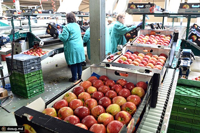 Россельхознадзор пригрозил Швейцарии продуктовым эмбарго из-за яблок