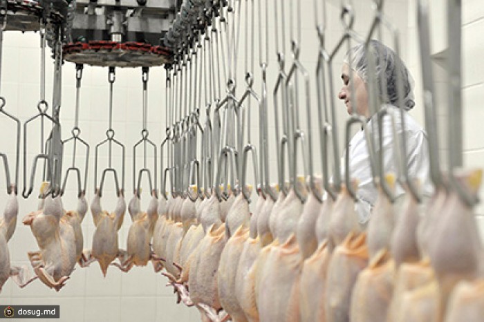 Россельхознадзор выявил опасные бактерии в британской курятине