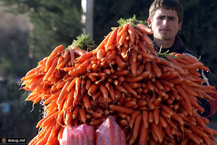 Россельхознадзор запретил растительную продукцию из Албании