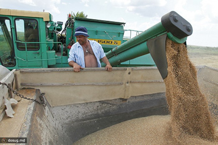 Россия и Иран задумали менять зерно на нефть