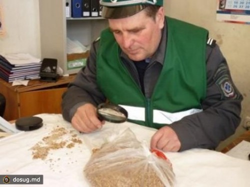 
 Россия может запретить молдаванам ввозить растительную продукцию в ручной клади и багаже
