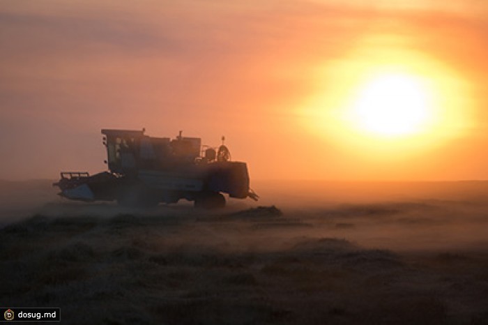 Россия намолотила более 100 миллионов тонн зерна