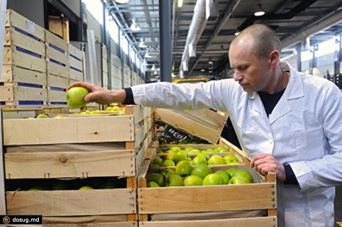 Россия ограничила поставки яблок из Сербии