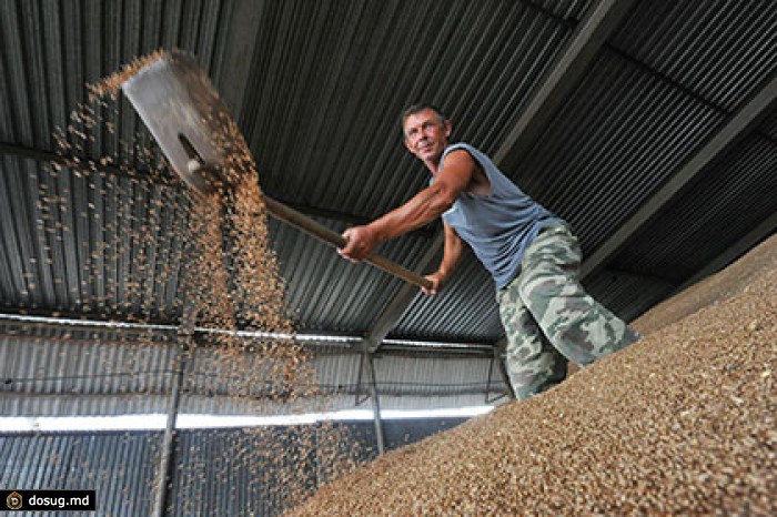 Россия ограничит экспорт зерна