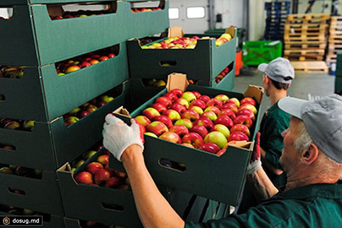 Россия вернула в Белоруссию польские яблоки и тунисские мандарины