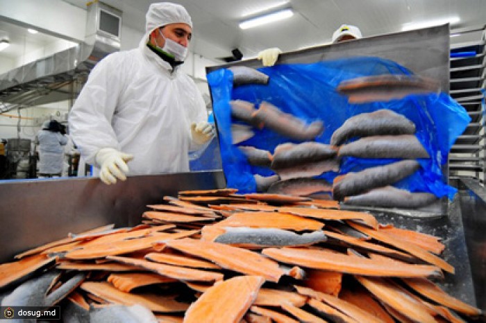 Россия задумалась об увеличении импорта продовольствия из Чили