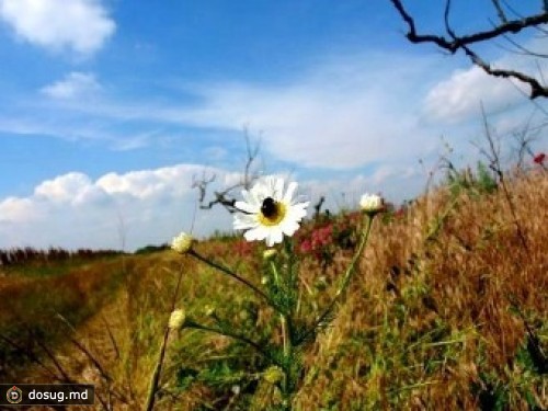 Российский бомж случайно сжег 150 гектаров украинского заповедника