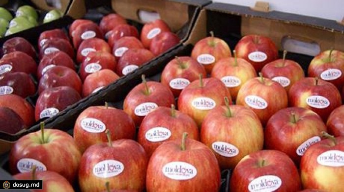 Российский эксперт: Россия должна снять эмбарго с молдавской продукции