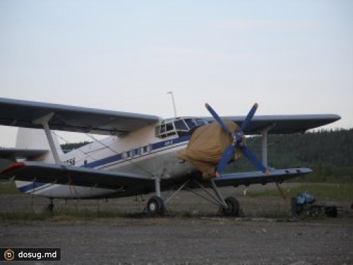 Руководителей свердловской полиции накажут за инцидент с Ан-2