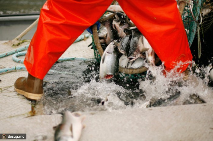 Рыбаки Аляски призвали бойкотировать российские морепродукты