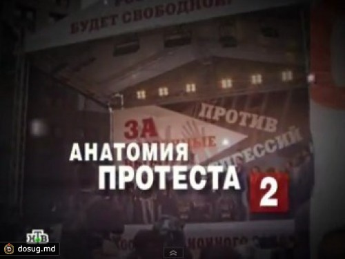 СК начал проверку фактов из фильма "Анатомия протеста - 2"