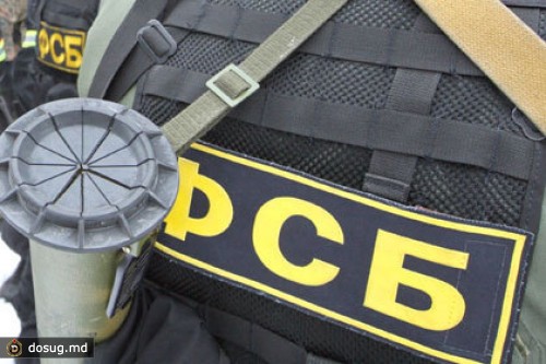 СК счел «бастующих» офицеров ФСБ вымышленными персонажами