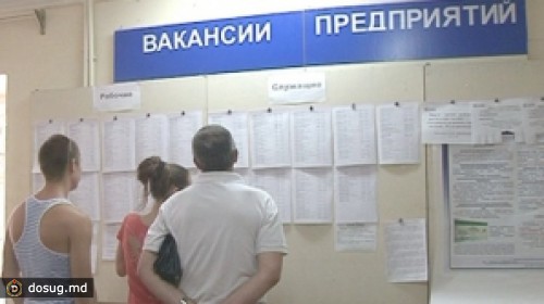 Самые популярные специальности среди граждан Молдовы в 2011 году