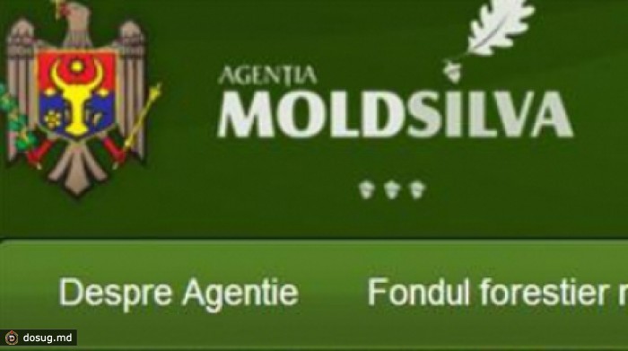 Счётная палата выявила множество нарушений в работе агентства «Moldsilva»