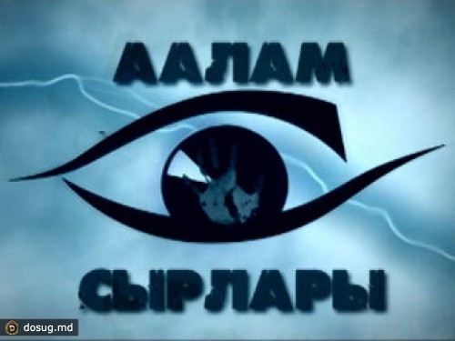 Сотрудники киргизской газеты организовали похищение телеведущей