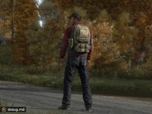 Создатель DayZ объяснил задержку релиза игры