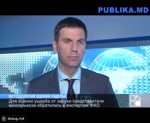 Специалисты оценивают ущерб сельскому хозяйству страны
