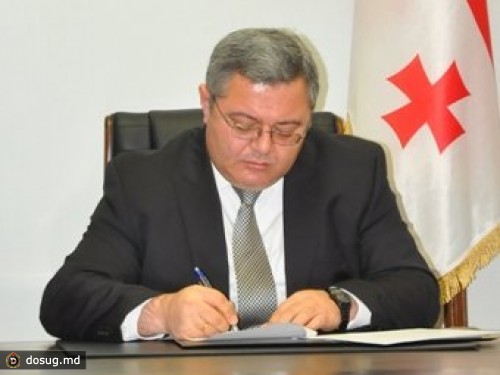 Спикер грузинского парламента подписал закон об амнистии вместо президента