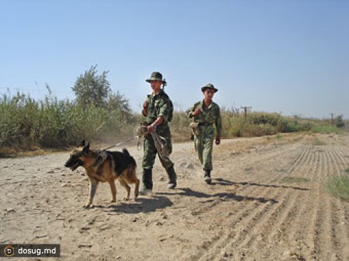 Таджики отбили у афганских бандитов полтора центнера гашиша