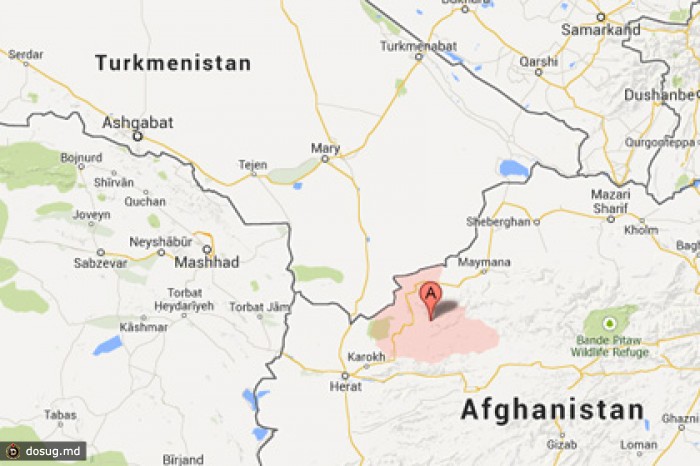 Талибы застрелили трех туркменских пограничников