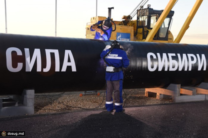 Топ-менеджера «Газпрома» уволили за разглашение сроков запуска «Силы Сибири»