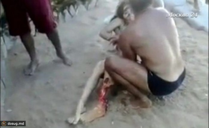 Туристы сняли на видео смерть девушки в пасти акулы. ВИДЕО