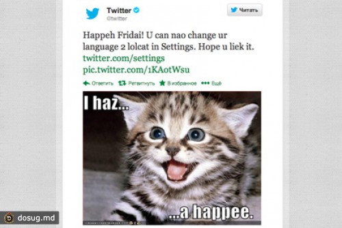 Twitter перевели на интернет-сленг lolcat