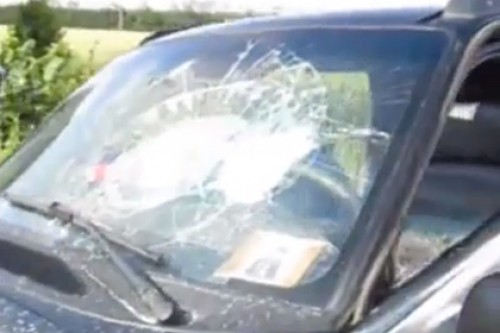 У «братьев-славян» под Киевом отобрали бюст Николая II