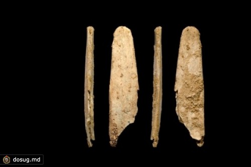 У неандертальцев нашли современные инструменты