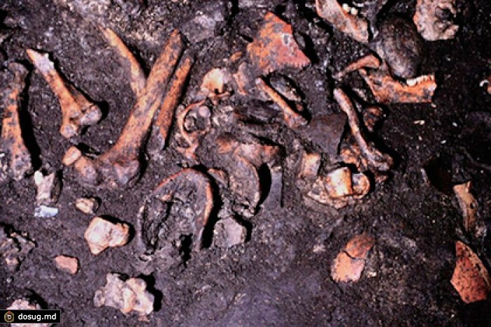 Ученые объяснили срезание мяса с костей трупов у древних италийцев