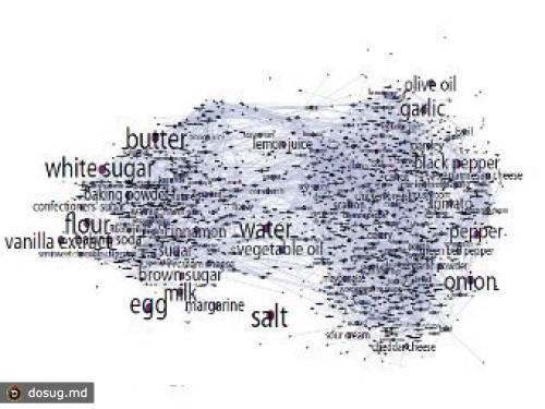 Ученые построили карту еды