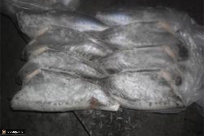 Украина попыталась ввезти в Крым 40 тонн запрещенной рыбы