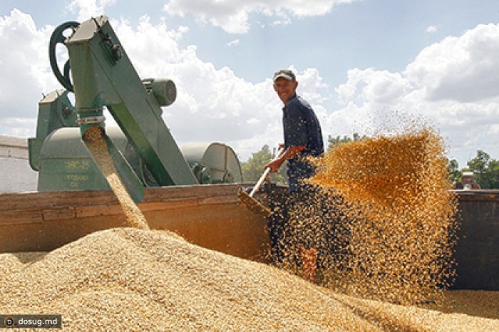 Украина вошла в тройку крупнейших экспортеров зерна