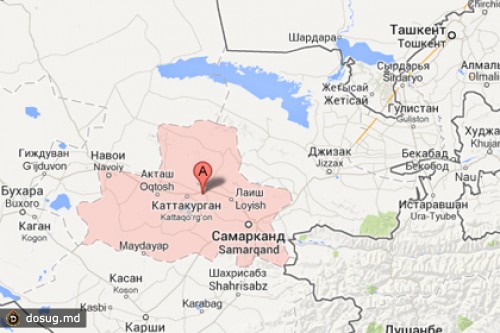 Узбекский фермер повесился после избиения в администрации