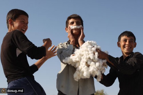 Узбекский колледж включил в договор с учащимися уборку хлопка