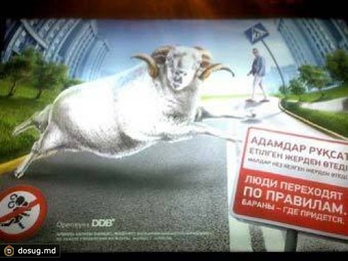 В Алма-Ате объяснили появление плакатов про "пешеходов-баранов"