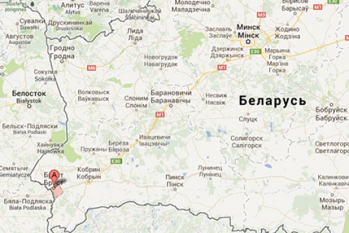 В Белоруссии для усмирения очереди прислали спецназ