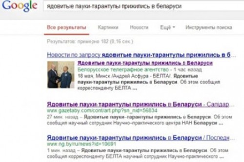 В Белоруссии новость о ядовитых пауках проиллюстрировали фотографией президента