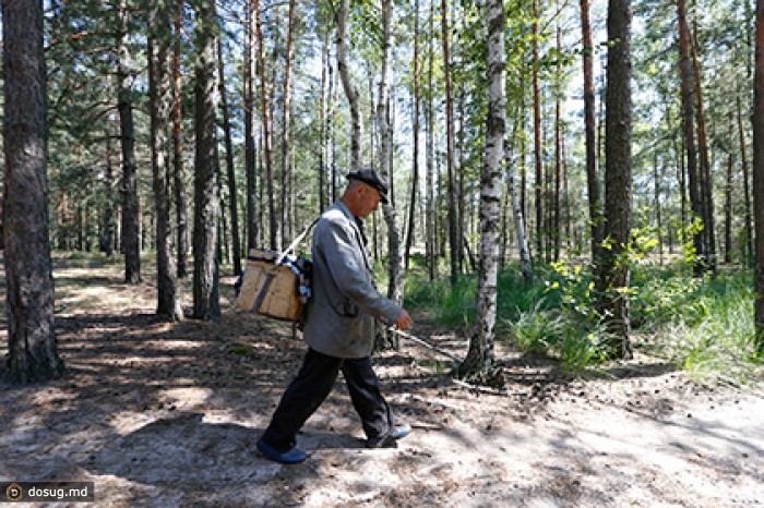 В Белоруссии запретили посещать леса