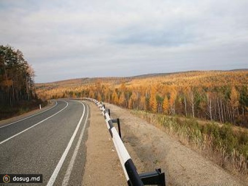 В ДТП под Иркутском погибли четыре человека