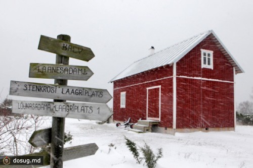 В Эстонии подсчитали не знающих госязыка