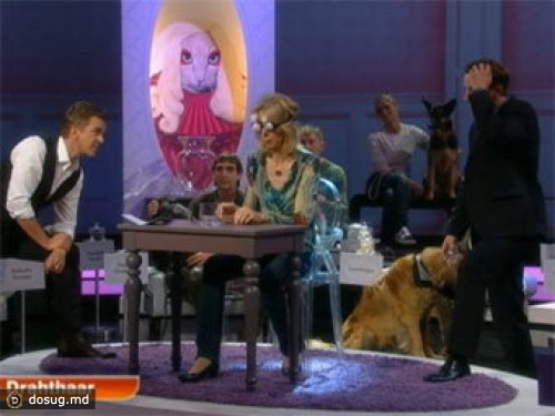 В Германии потребовали запрета на участие собак в телешоу
