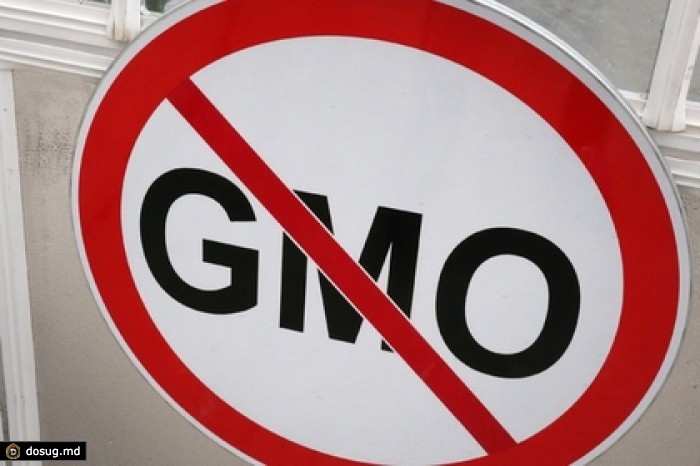 В Госдуму внесен законопроект о запрете на выращивание ГМО в России