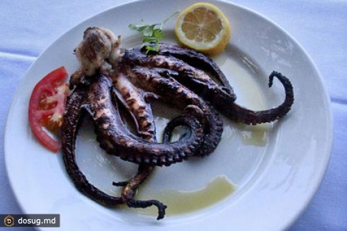 В Греции турист съел шестиногого осьминога