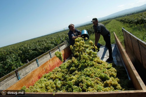 В Грузии начали сбор подписей против продажи земли иностранцам