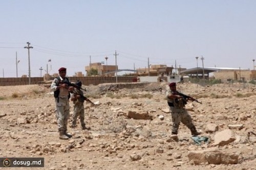 В Ираке убили 48 военнослужащих сирийской армии