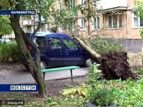 В Калининградской области восстановили электроснабжение