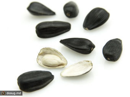 В Казахстане полицейского избили из-за шелухи от семечек